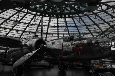 DSC_7094 (Large).JPG